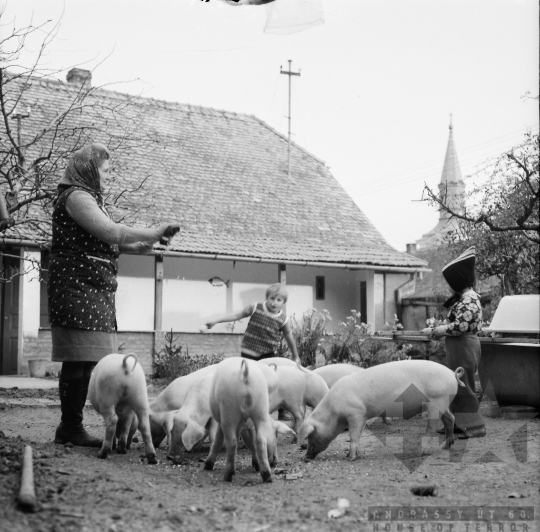 THM-BJ-08055 - Szekszárd, South Hungary, 1972