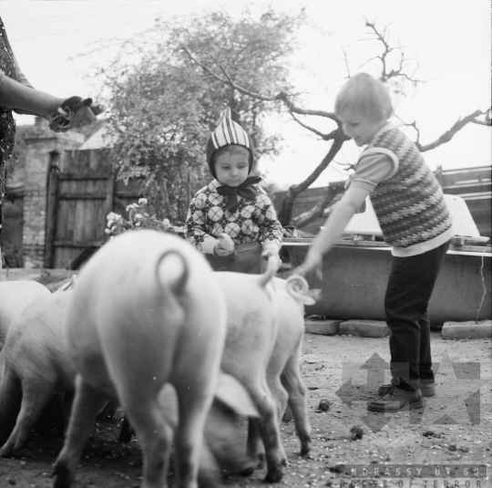 THM-BJ-08056 - Szekszárd, South Hungary, 1972