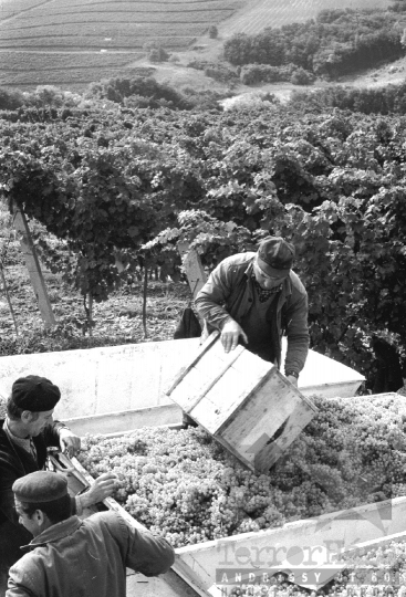 THM-BJ-08295 - Szekszárd, South Hungary, 1977