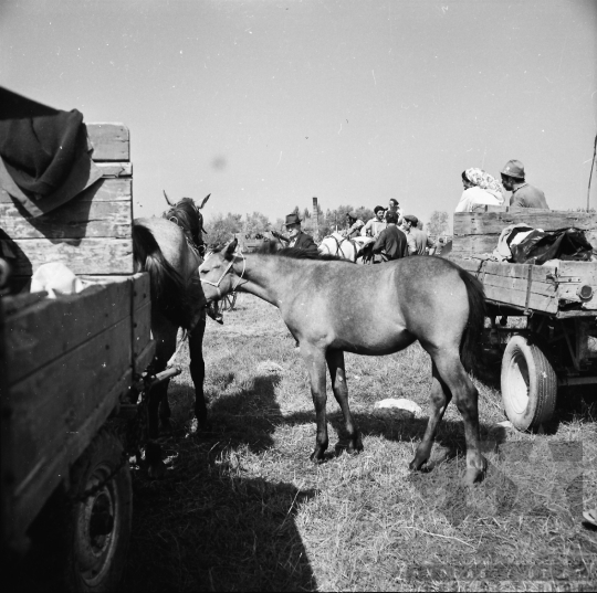 THM-BJ-08384 - Szekszárd, South Hungary, 1980