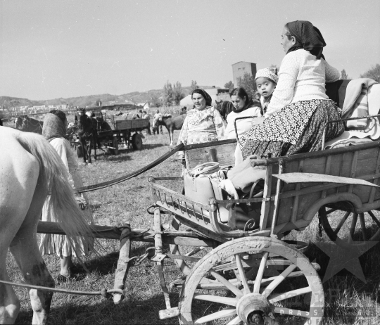 THM-BJ-08385 - Szekszárd, South Hungary, 1980