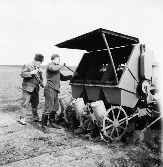 THM-BJ-08503 - Fadd, South Hungary, 1966