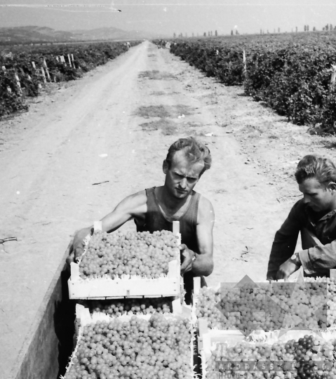 THM-BJ-08555 - Várdomb, South Hungary, 1967