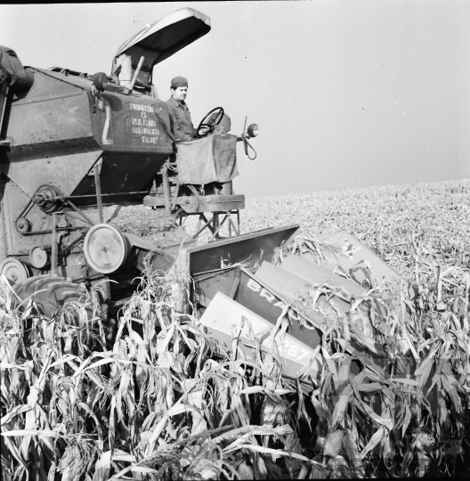 THM-BJ-08594 - Nagykónyi, South Hungary, 1968 