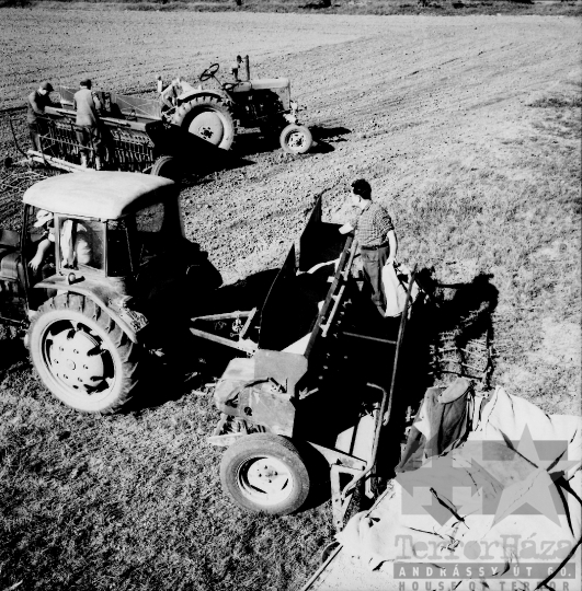 THM-BJ-08597 - Nagykónyi, South Hungary, 1968 