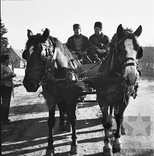 THM-BJ-08618 - Fadd, South Hungary, 1977 