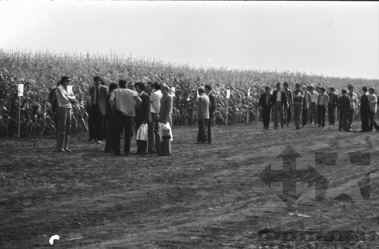 THM-BJ-08758 - Szekszárd, South Hungary, 1981 