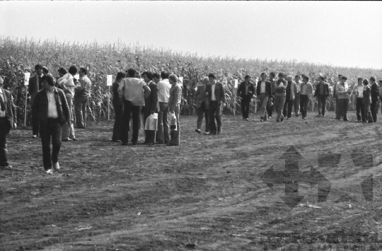 THM-BJ-08759 - Szekszárd, South Hungary, 1981 