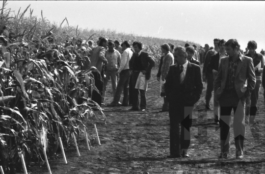 THM-BJ-08760 - Szekszárd, South Hungary, 1981