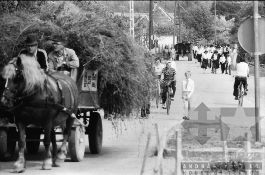 THM-BJ-08969 - Tolna county, South Hungary, 1981