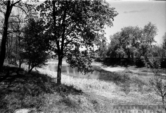 THM-BJ-09373 - Szekszárd, South Hungary, 1989