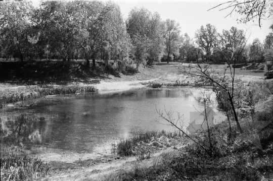 THM-BJ-09376 - Szekszárd, South Hungary, 1989