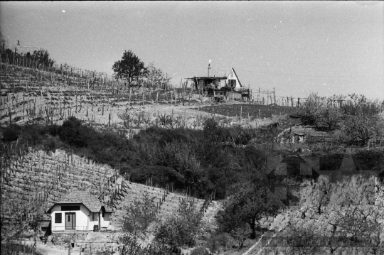 THM-BJ-09377 - Szekszárd, South Hungary, 1989