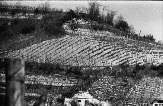 THM-BJ-09383 - Szekszárd, South Hungary, 1989