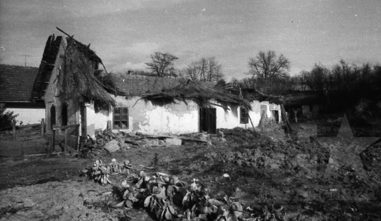 THM-BJ-09440 - Kisszékely, South Hungary, 1989