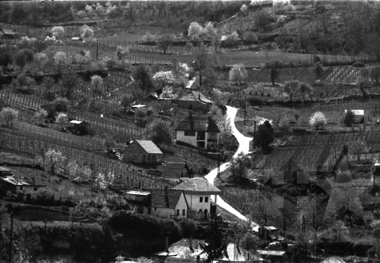 THM-BJ-09467 - Szekszárd, South Hungary, 1989 