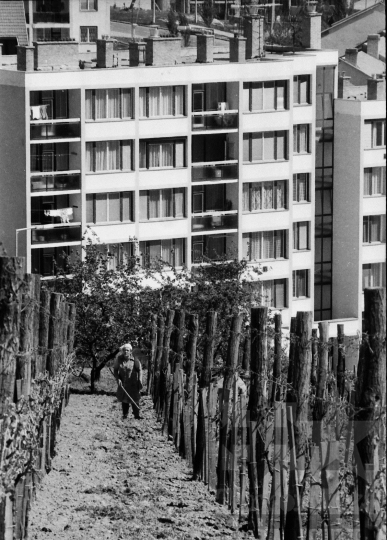 THM-BJ-09472 - Szekszárd, South Hungary, 1989 