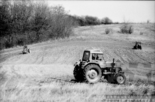 THM-BJ-09497 - Hőgyész, South Hungary, 1988 