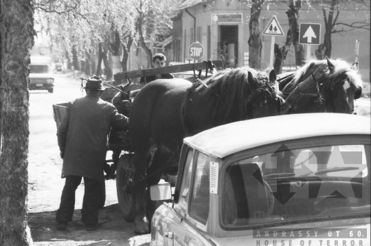 THM-BJ-09539 - Szekszárd, South Hungary, 1988