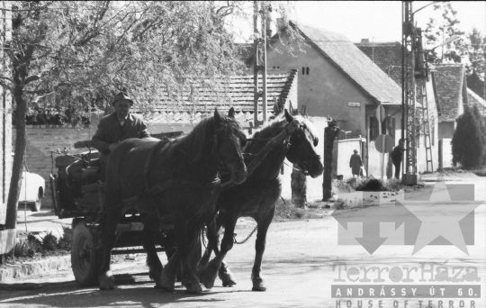 THM-BJ-09540 - Szekszárd, South Hungary, 1988