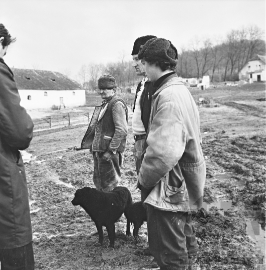 THM-BJ-09697 - Kakasd, South Hungary, 1977 