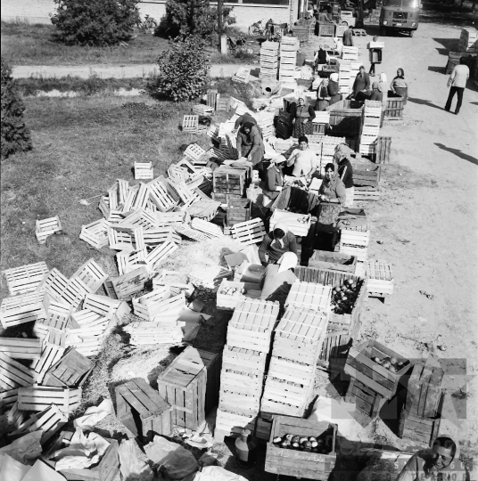 THM-BJ-09704 - Bogyiszló, South Hungary, 1978 