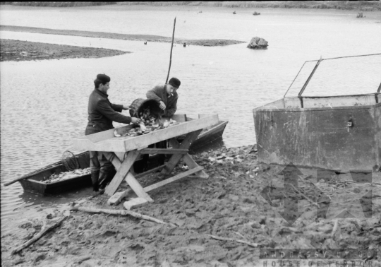 THM-BJ-09994 - Tamási, South Hungary, 1962