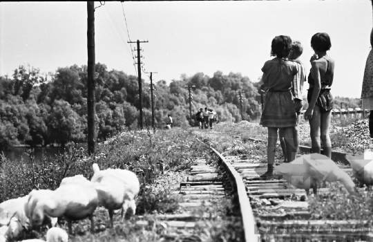 THM-BJ-10012 - Paks, South Hungary, 1965