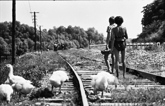 THM-BJ-10013 - Paks, South Hungary, 1965