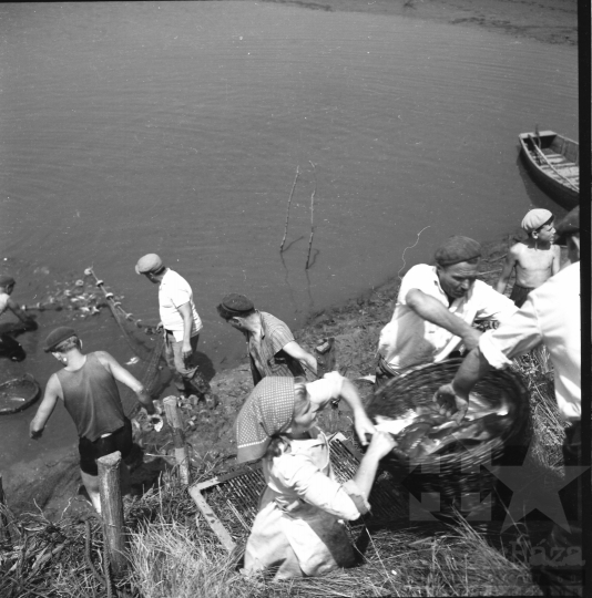 THM-BJ-10073 - Fornád, South Hungary, 1966