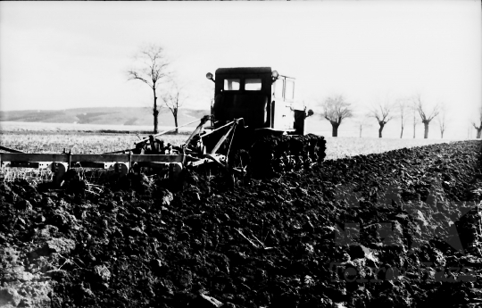 THM-BJ-10118 - Regöly, South Hungary, 1966