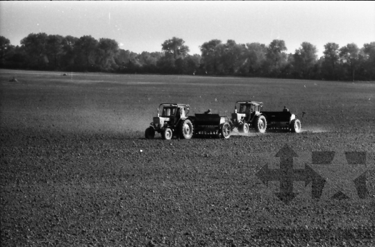 THM-BJ-10474 - Felsőnána, South Hungary, 1977