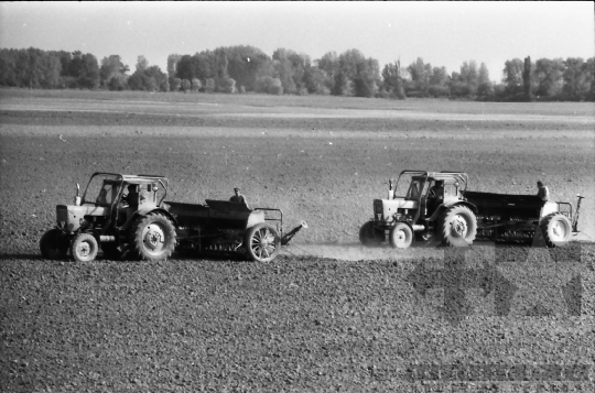 THM-BJ-10476 - Felsőnána, South Hungary, 1977