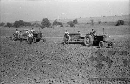 THM-BJ-10633 - Szekszárd, South Hungary, 1979