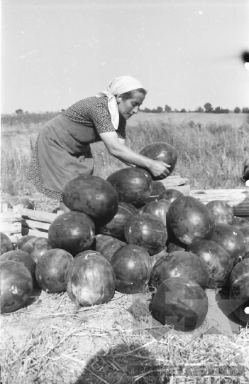 THM-BJ-10639 - Szekszárd, South Hungary, 1962