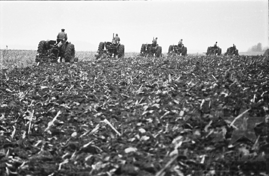 THM-BJ-10738 - Bonyhád, South Hungary, 1967