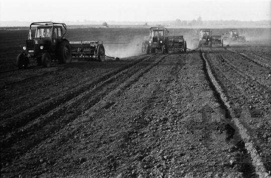 THM-BJ-10851 - Tolna, South Hungary, 1977