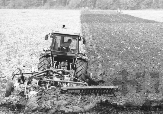 THM-BJ-11244 - Nagykónyi, South Hungary, 1976