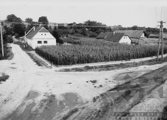 THM-BJ-11362 - Kisszékely, South Hungary, 1979