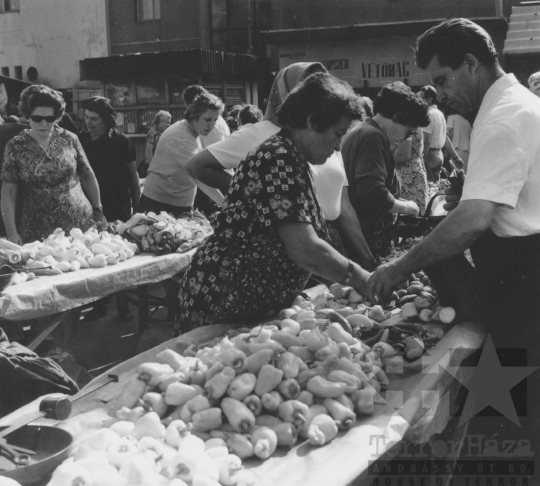 THM-BJ-11419 - Szekszárd, South Hungary, 1976