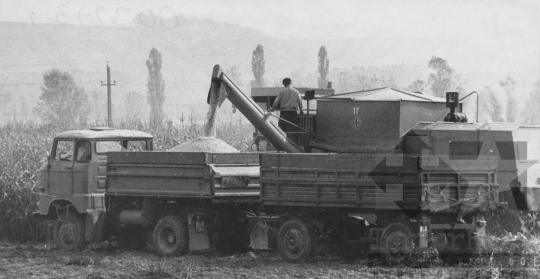 THM-BJ-11441 - Bonyhád, South Hungary, 1979