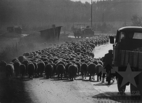 THM-BJ-11724 - Bátaszék, South Hungary, 1977