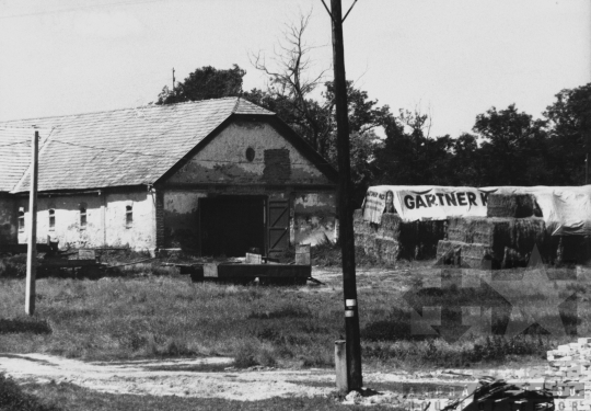 THM-BJ-11762 - Tengelic, South Hungary, 1980