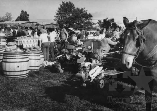 THM-BJ-11776 - Decs, South Hungary, 1980